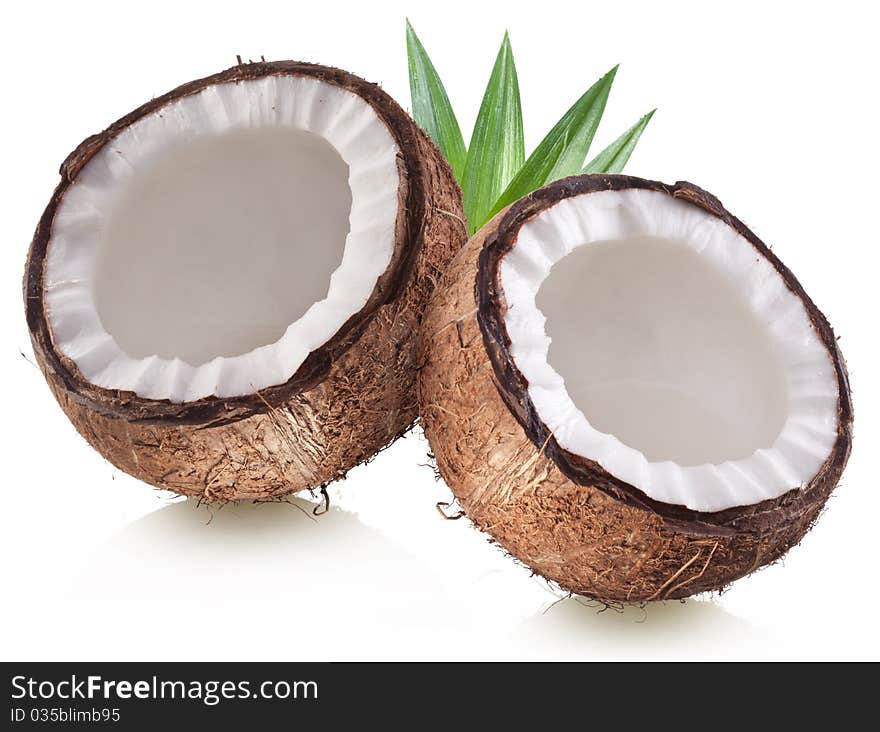 High-quality photos of coconuts on a white background. High-quality photos of coconuts on a white background.