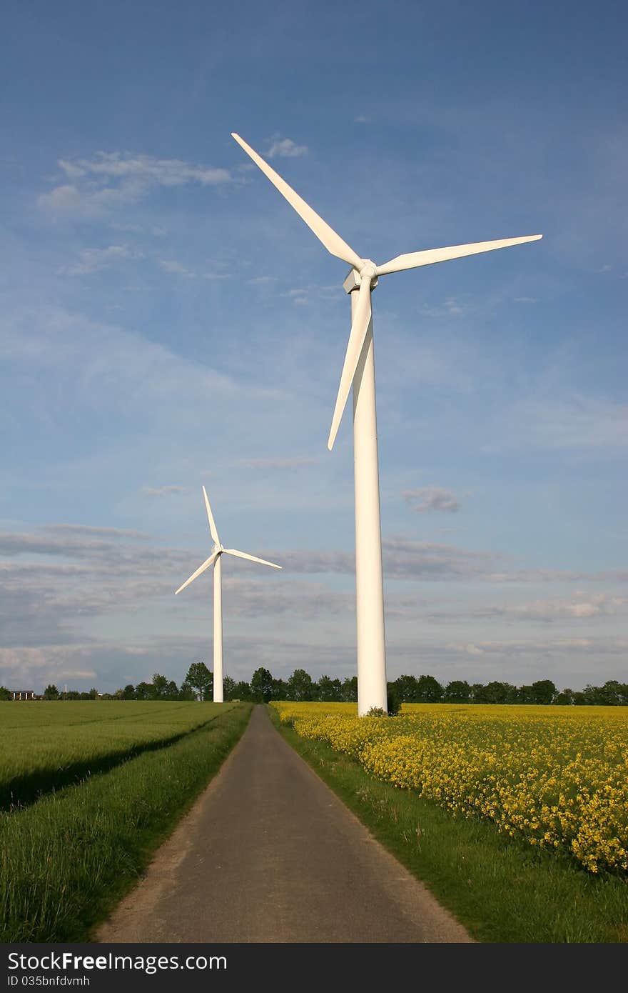 Wind farm with rape field and footpath