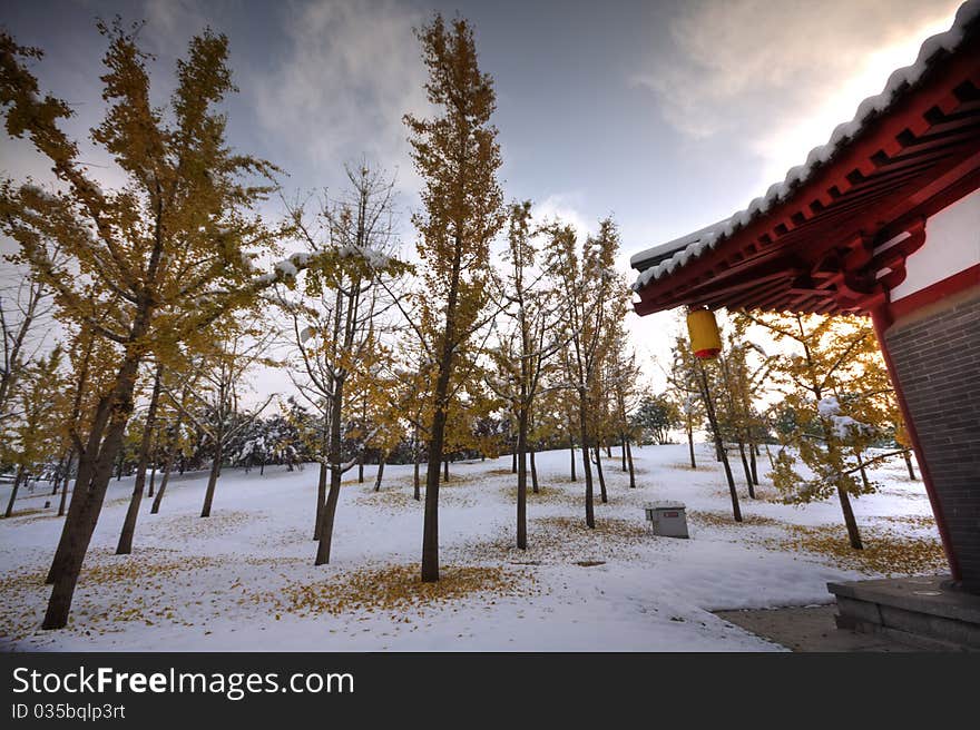 The photo was taken in Qujiang Pool Relic Park( Xi'an city, China) early in the morning while it snowed the last night. The sights is all white and peacful. It reminds us pureful. The photo was taken in Qujiang Pool Relic Park( Xi'an city, China) early in the morning while it snowed the last night. The sights is all white and peacful. It reminds us pureful.