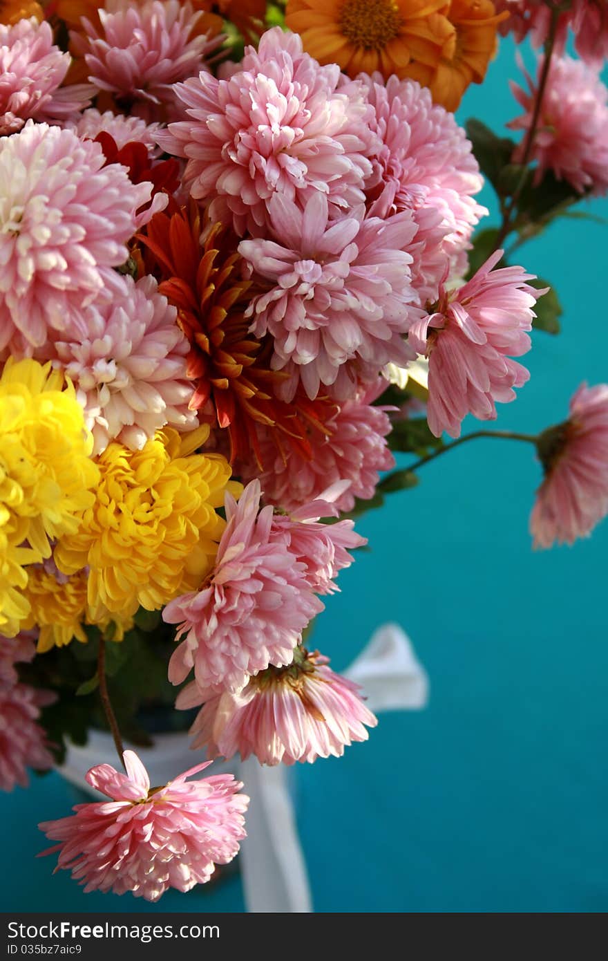 A bouquet of chrysanthemums on a blue background. A bouquet of chrysanthemums on a blue background