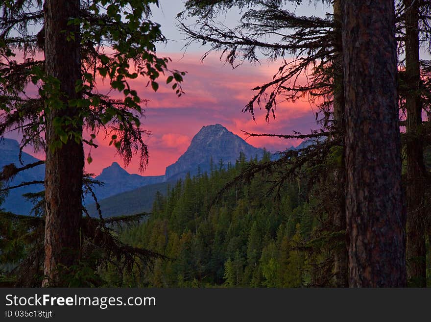 Red Sky Sunset Thru The Forest