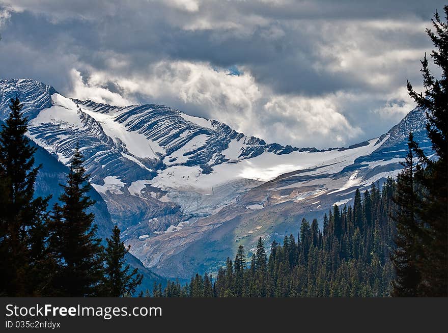 Jackson Glacier thru opening in trees