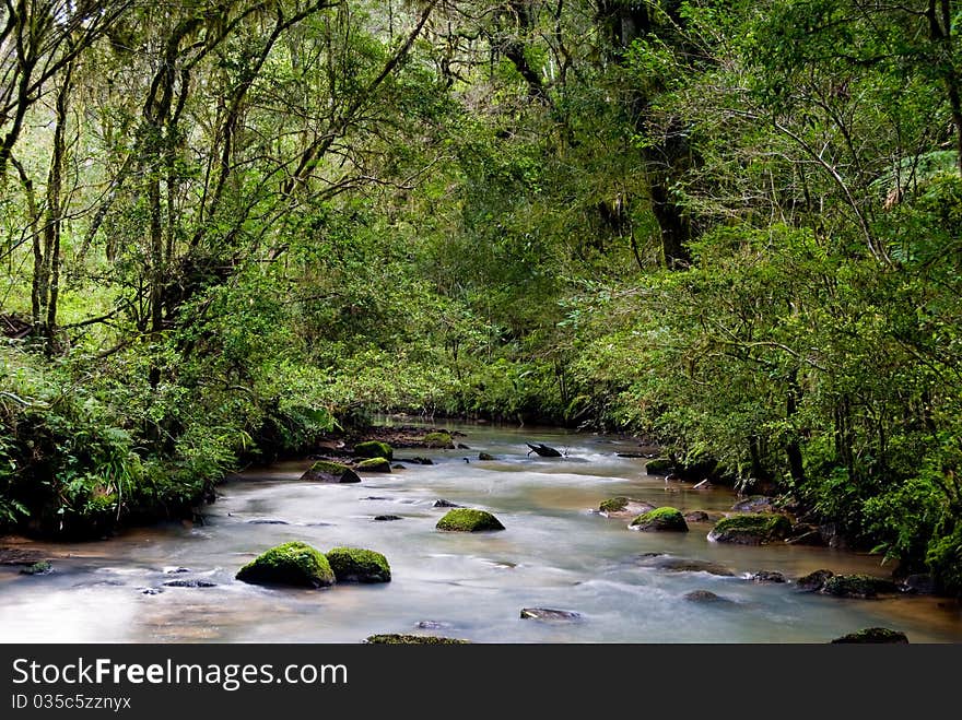 River with rocks and moss in the Brazilian Atlantic rainforest. River with rocks and moss in the Brazilian Atlantic rainforest.