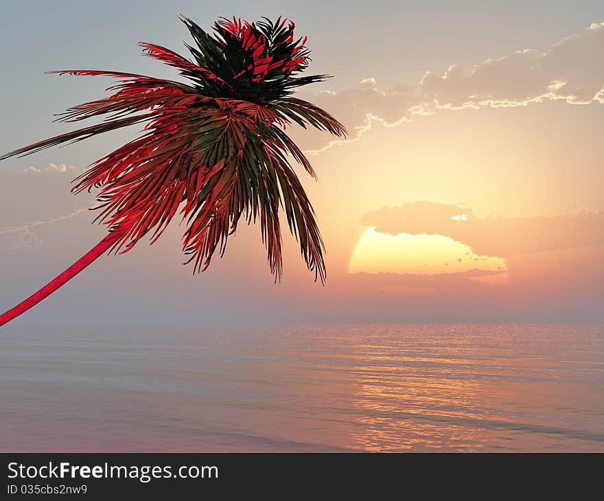 Dead tree at sunset beach