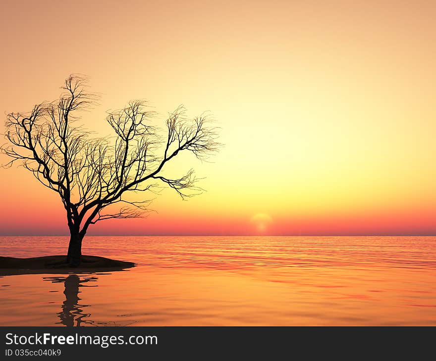 Dead tree at sunset beach