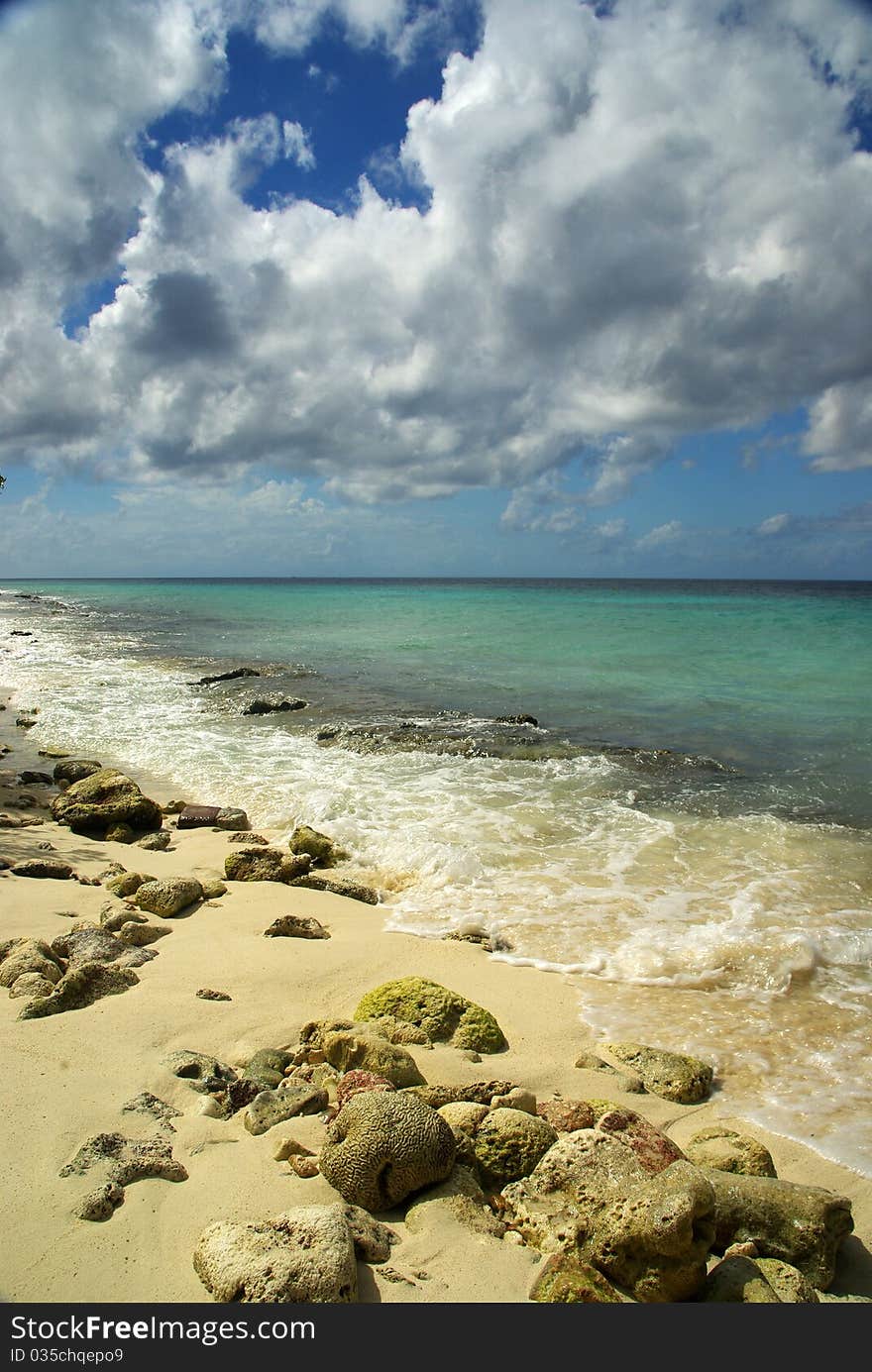 The island of Bonaire, Caribbean