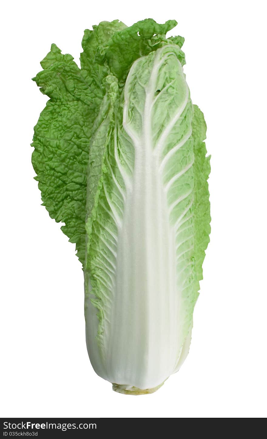 Chinese Cabbage Isolated On The White Background