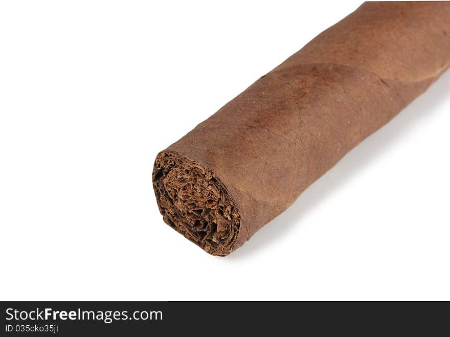 Cigar on a white background