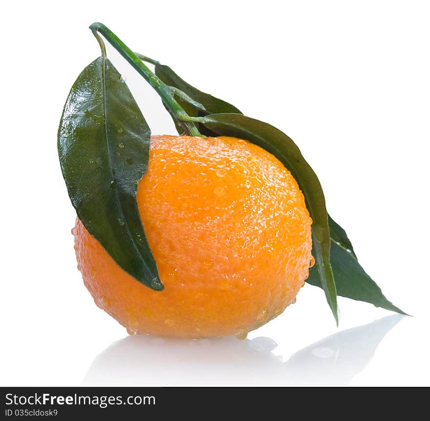 Ripe tangerine with leaves and drops of water