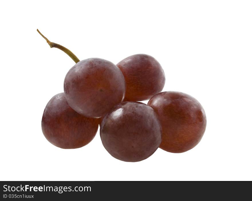 Five Grapes Barries With The Twig