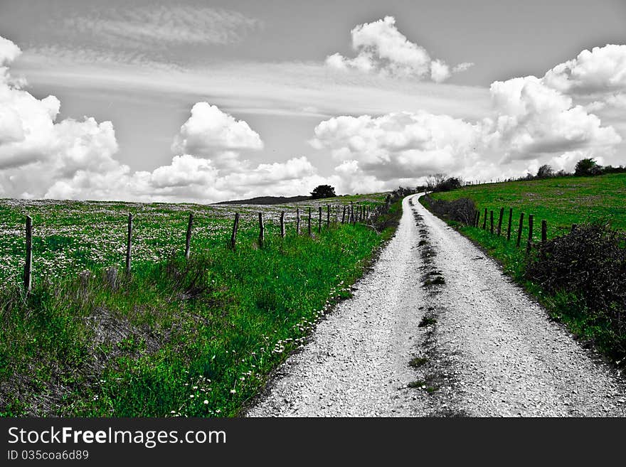 Green path