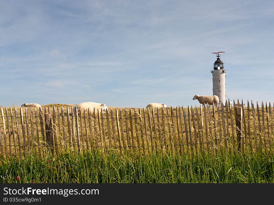 Lighthouse and flock of sheep