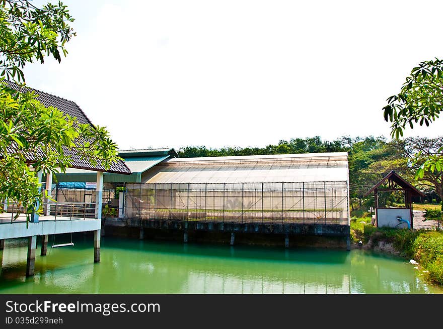 The Green house