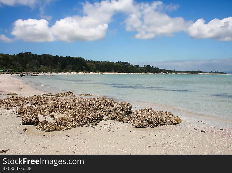 Rangiputa Beach, Northland, New Zealand 3