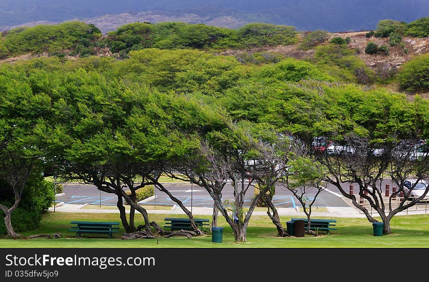 Was taken in Hawaii on the way. Was taken in Hawaii on the way