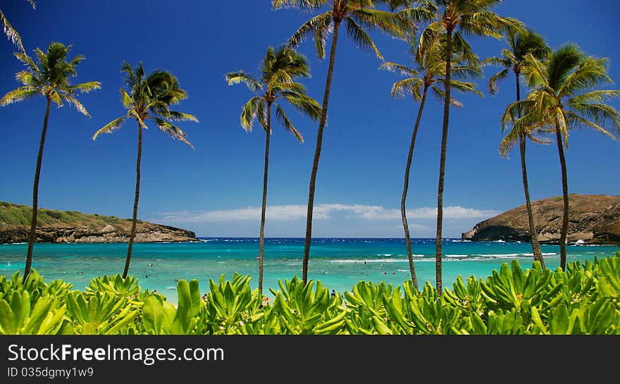 Beautiful Scenery Of Tropical Ocean