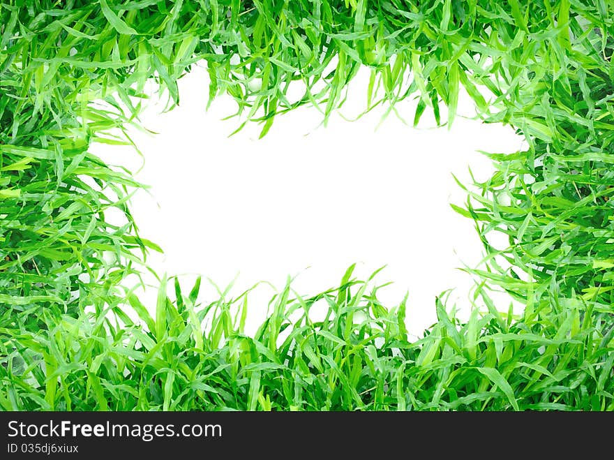 Grass frame isolated