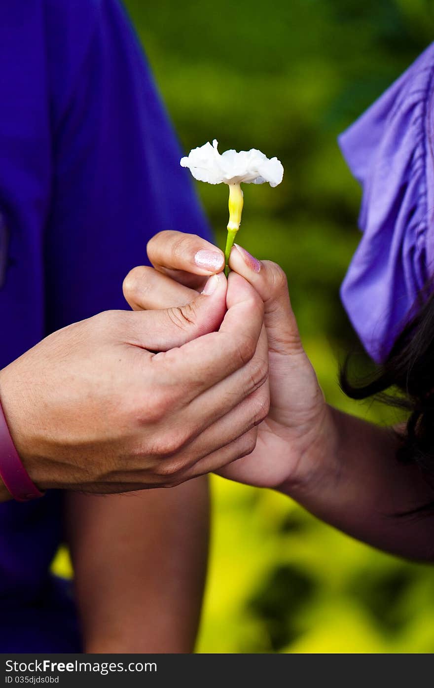 A couple's hands shown holding a white flower. A couple's hands shown holding a white flower