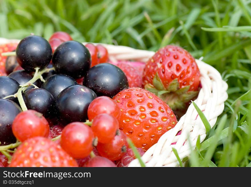 Ripe Berries In A Basket