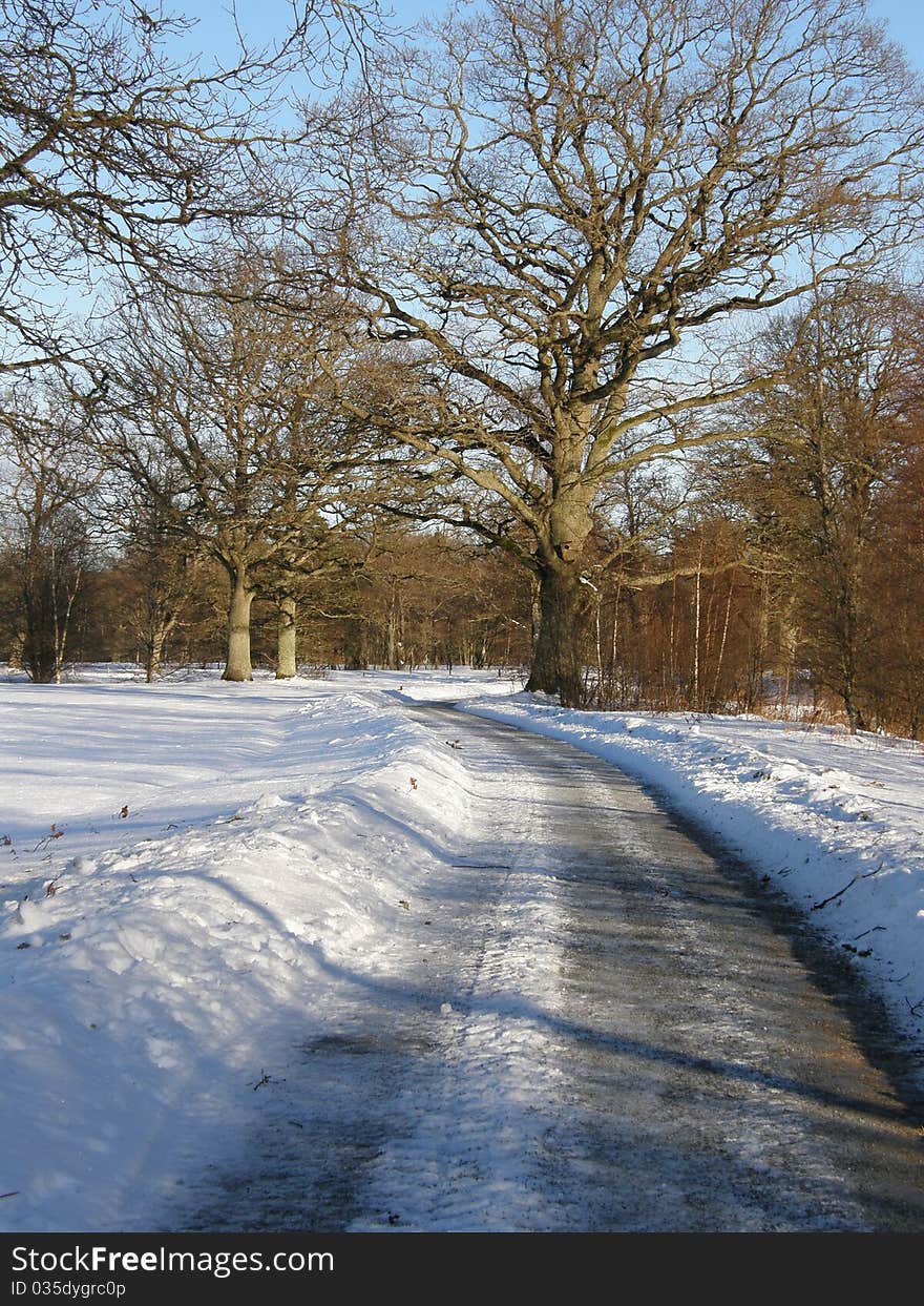 A bicycle path in the snow nearby Varnamo, Sweden. A bicycle path in the snow nearby Varnamo, Sweden.