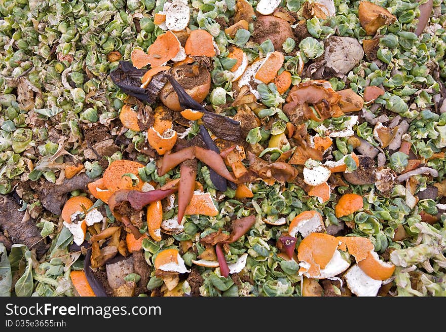 Orange zest and sprouts leaves on a compost heap