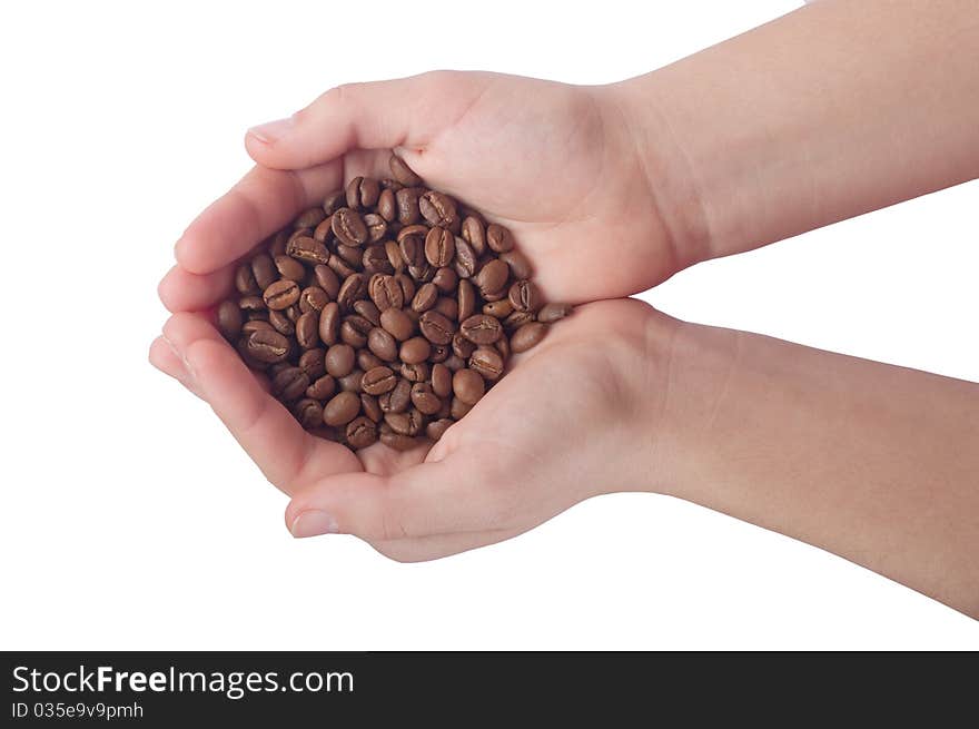 Coffee bean in human hands.