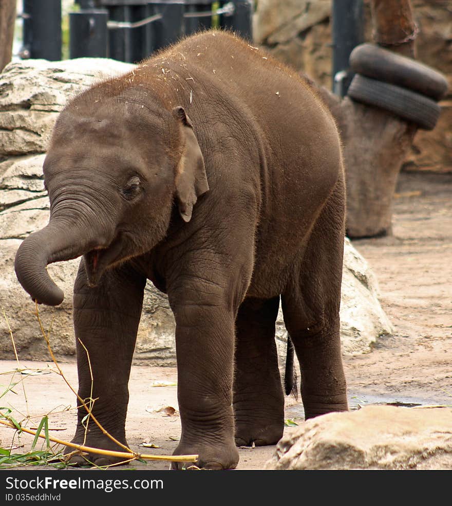 Young And Inquisitive.