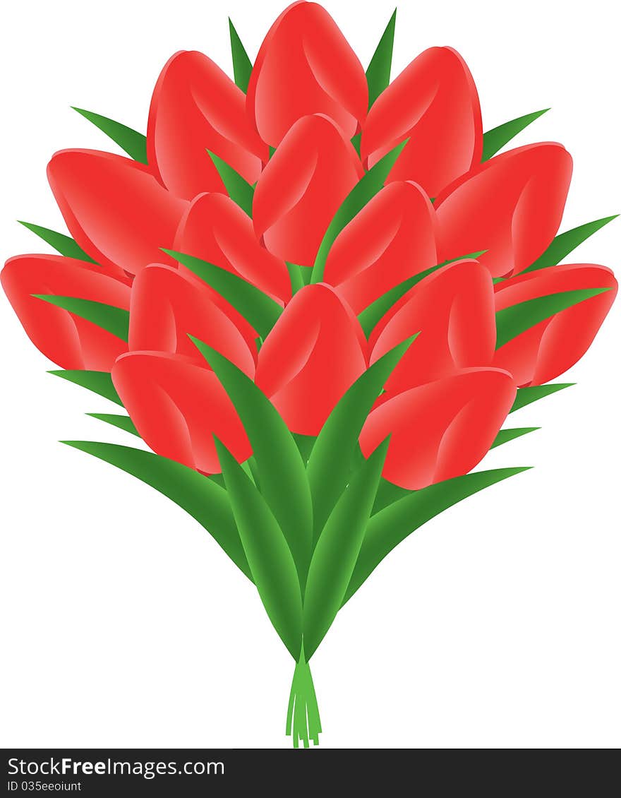 Bouquet of tulips