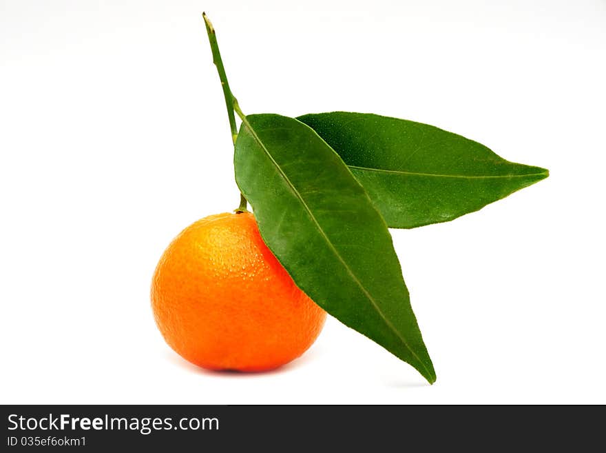 An image of an orange mandarin with green leaves. An image of an orange mandarin with green leaves