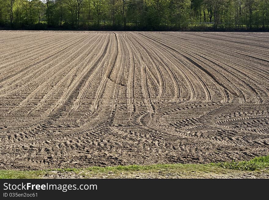 Brown Field in the spring. Brown Field in the spring