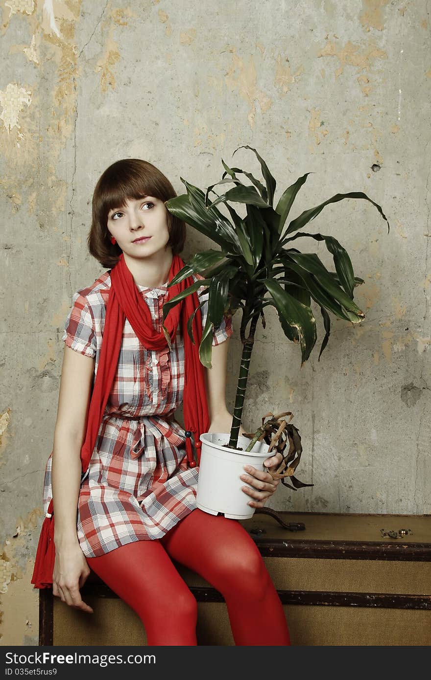 Young attractive woman sitting in the operation room in an old suitcase in the hands of plant. Young attractive woman sitting in the operation room in an old suitcase in the hands of plant