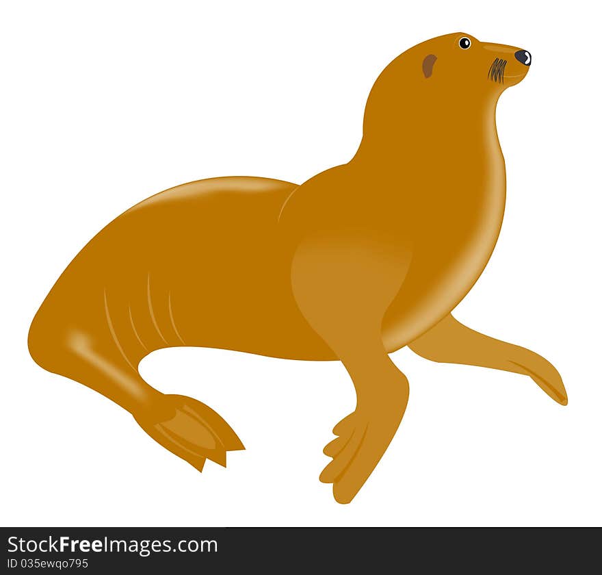 Sea animal walrus on white background