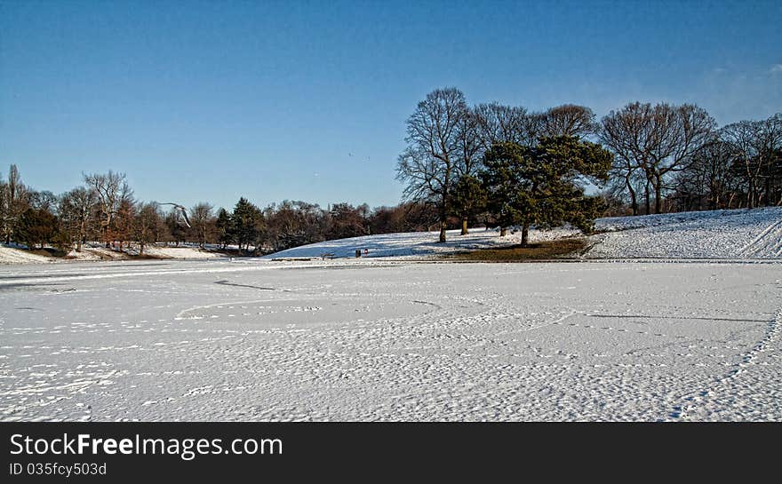 The frozen lake at sefton park liverpool