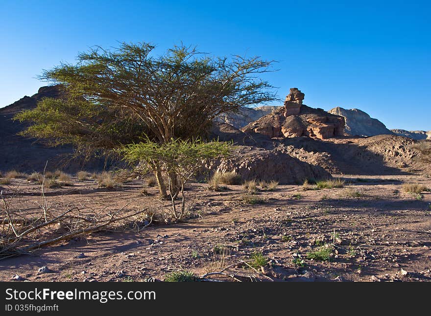 Evening in geological park Timna, Israel