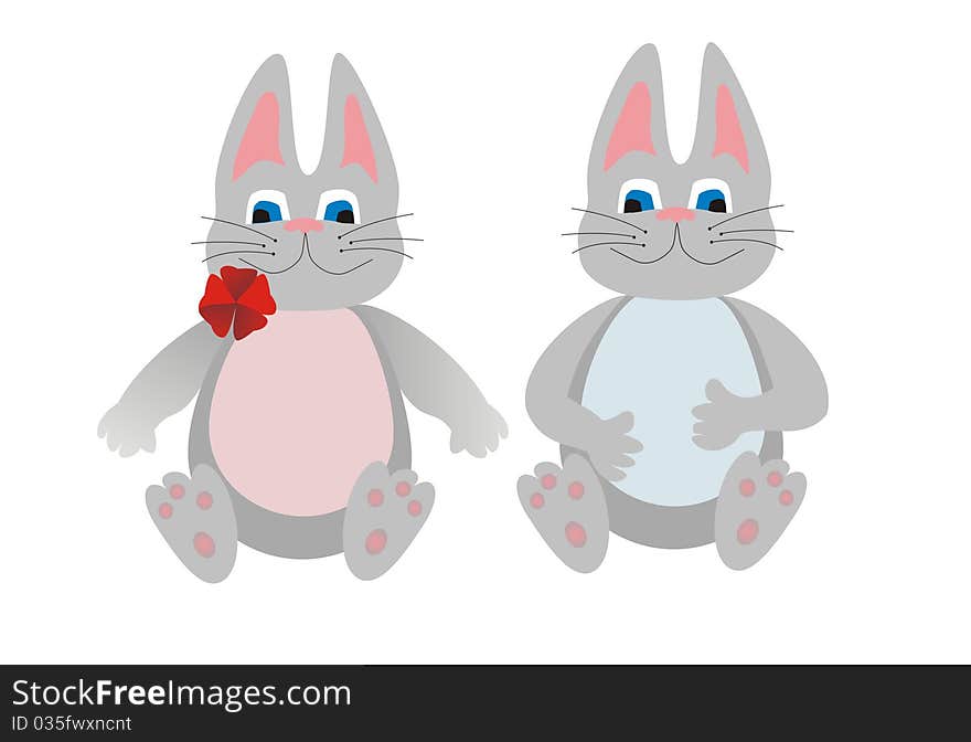 Two gray rabbits, the boy and the girl isolated on a white background. Two gray rabbits, the boy and the girl isolated on a white background