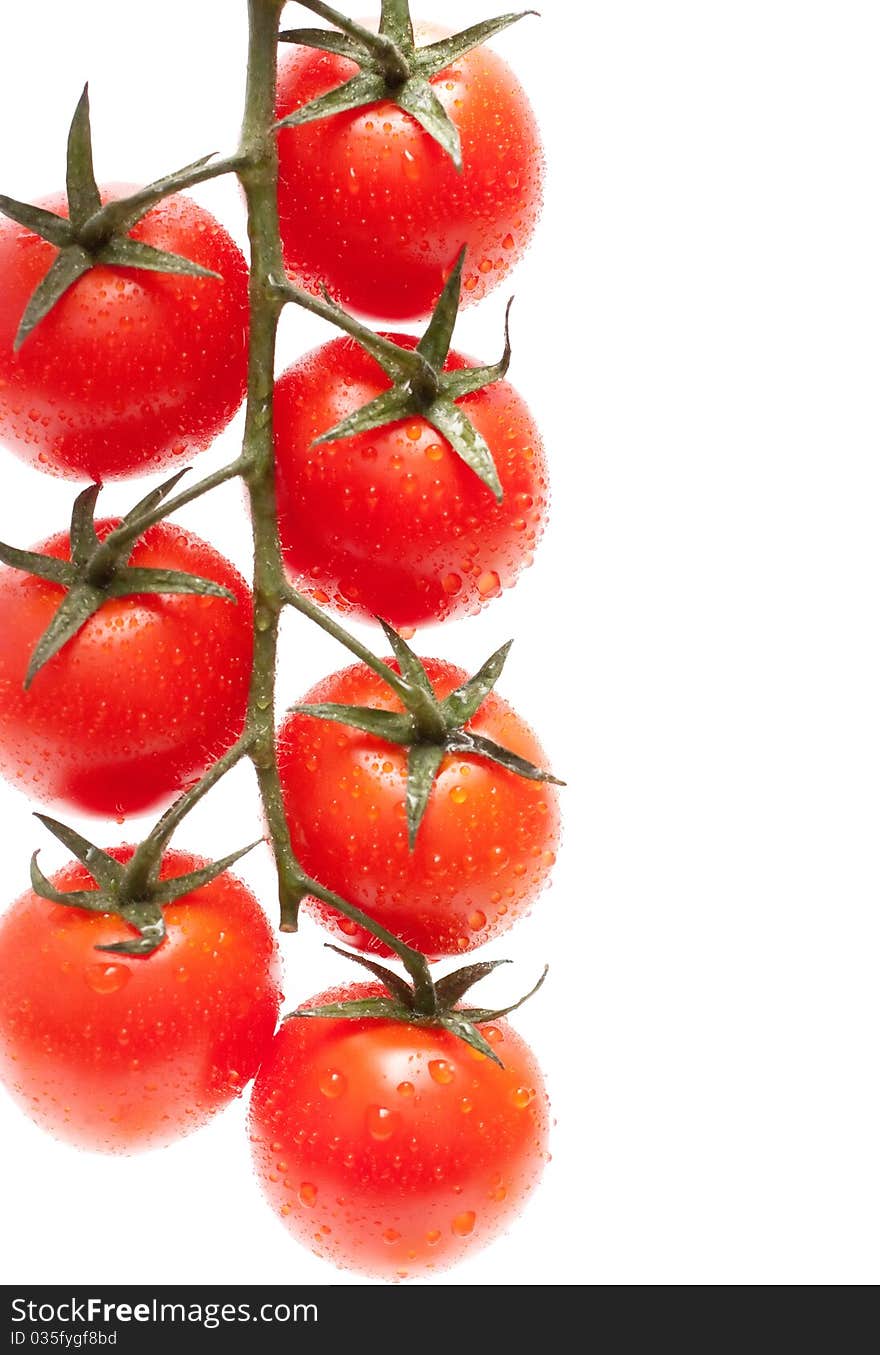 Ripe Tomatoes cherry on white background