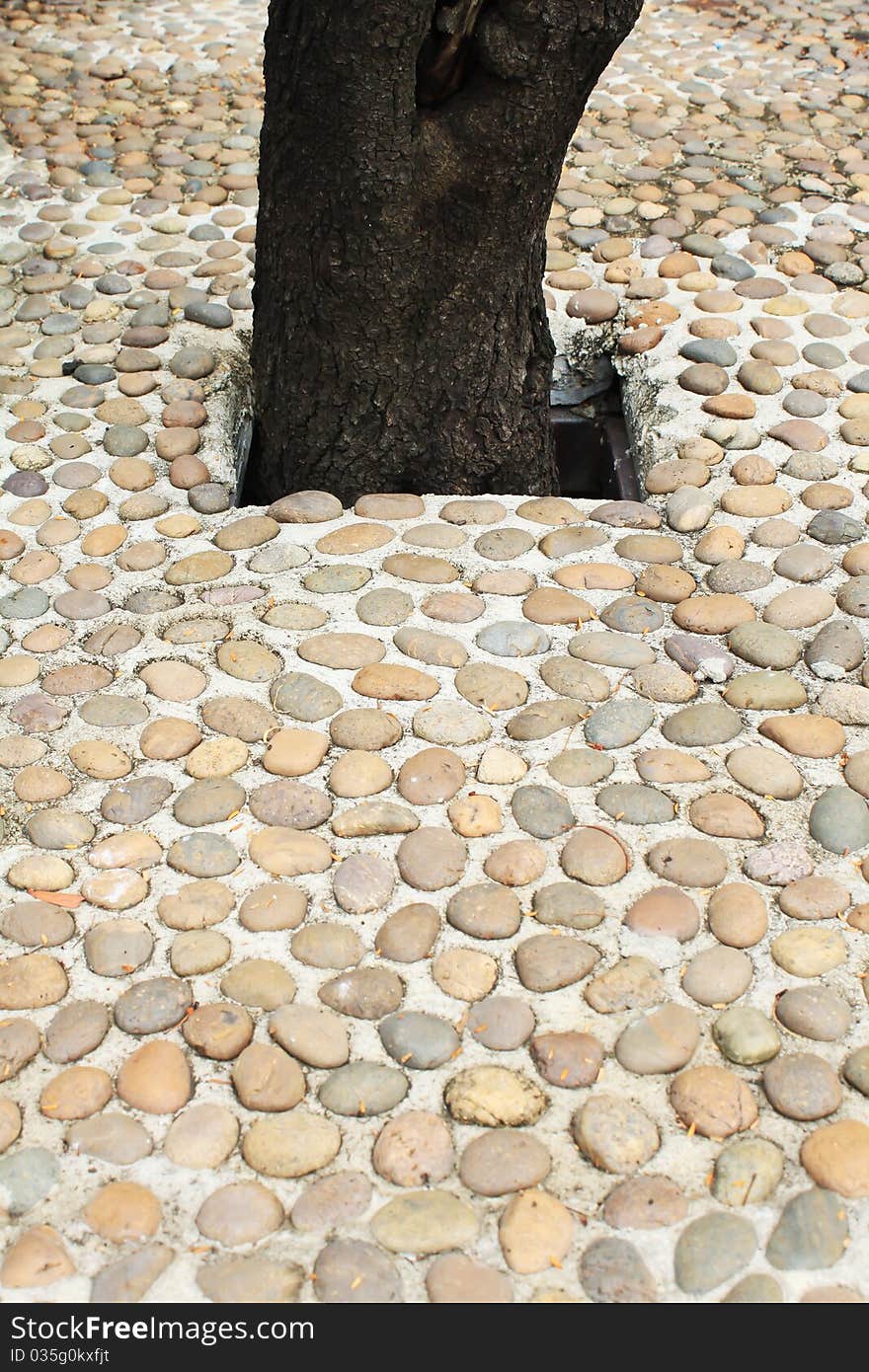 Trees in the middle of concrete. Trees in the middle of concrete.