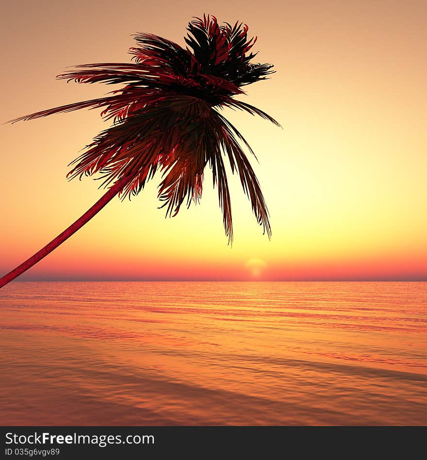 Alone palm at sunset sea