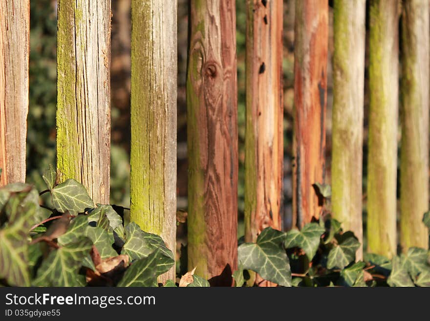 Wooden fence structure