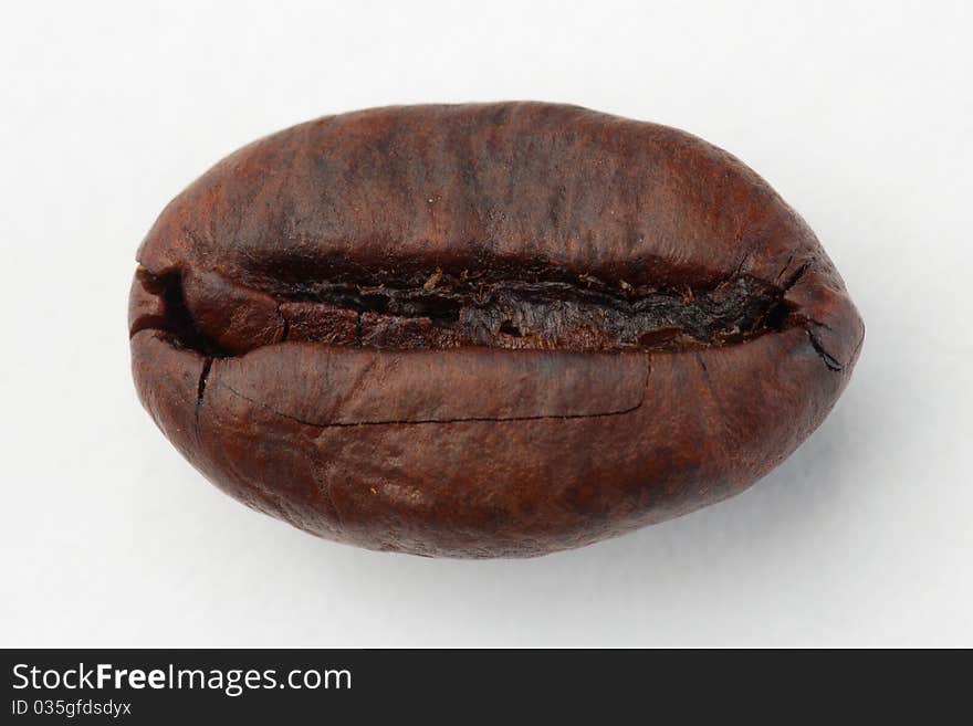 Coffee Bean