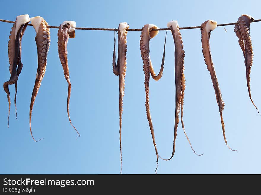 Octopus hanging from a rope against the blue sky