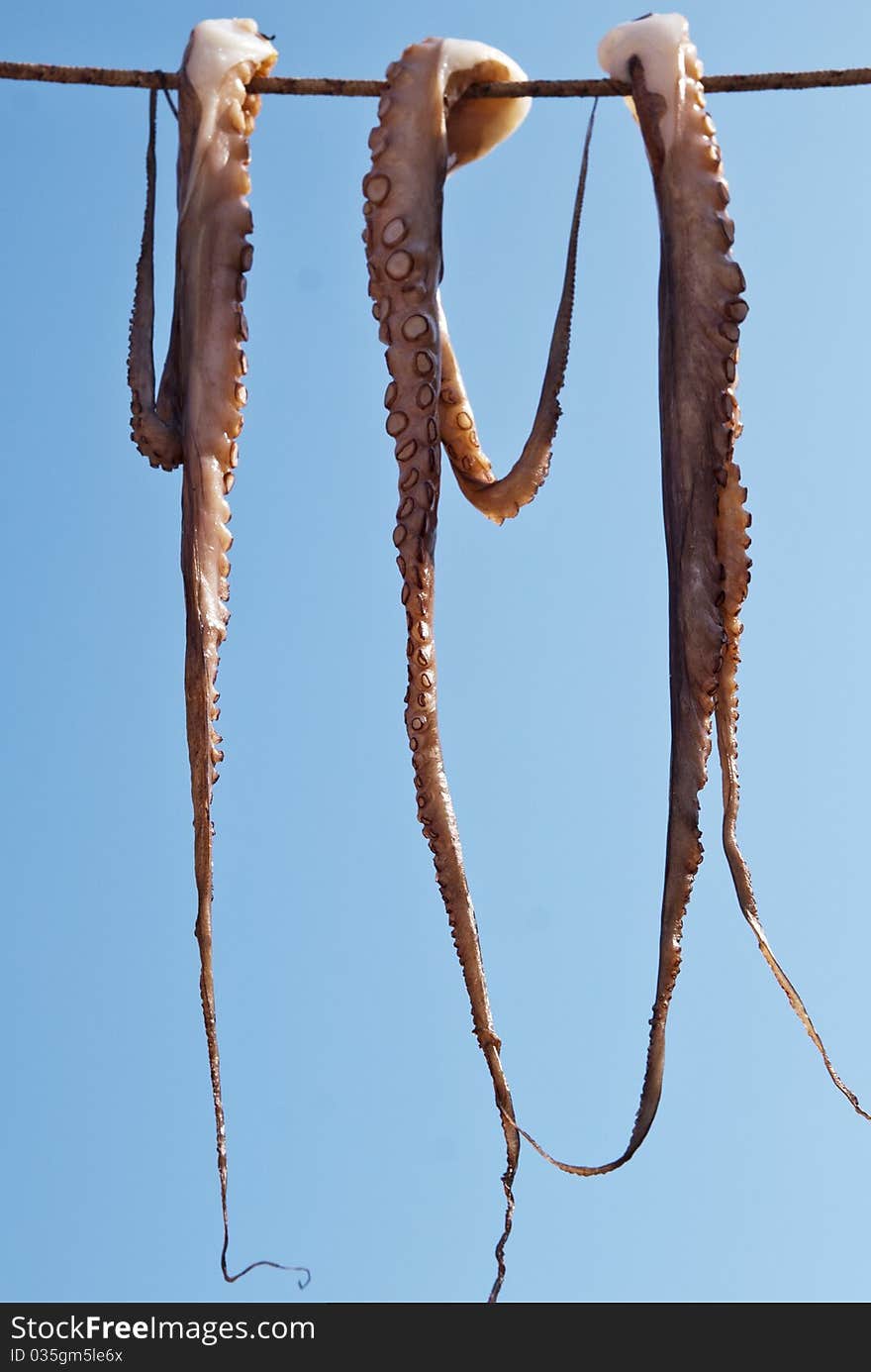 Octopus hanging from a rope against the blue sky