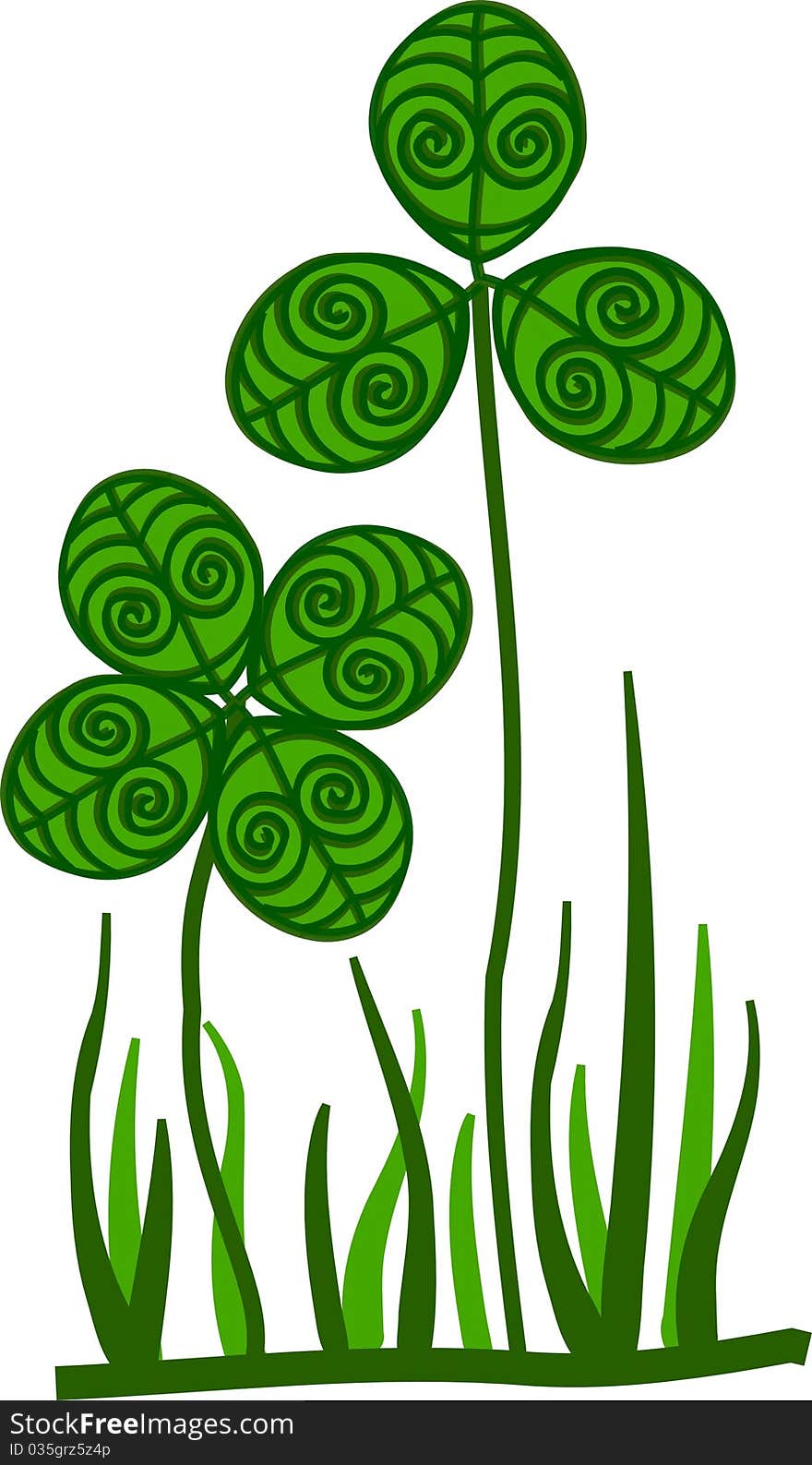 Ornamental Clover