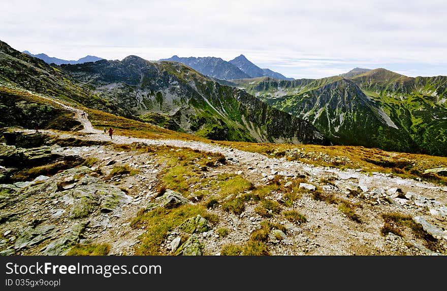 Summer mountain landscape in the Polish Tatry