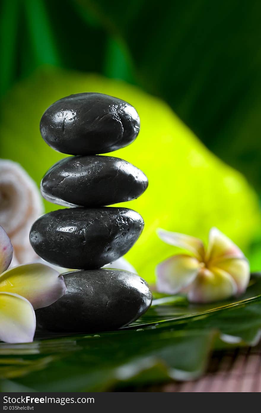 Close up view of  gray stones  and flower  on color back