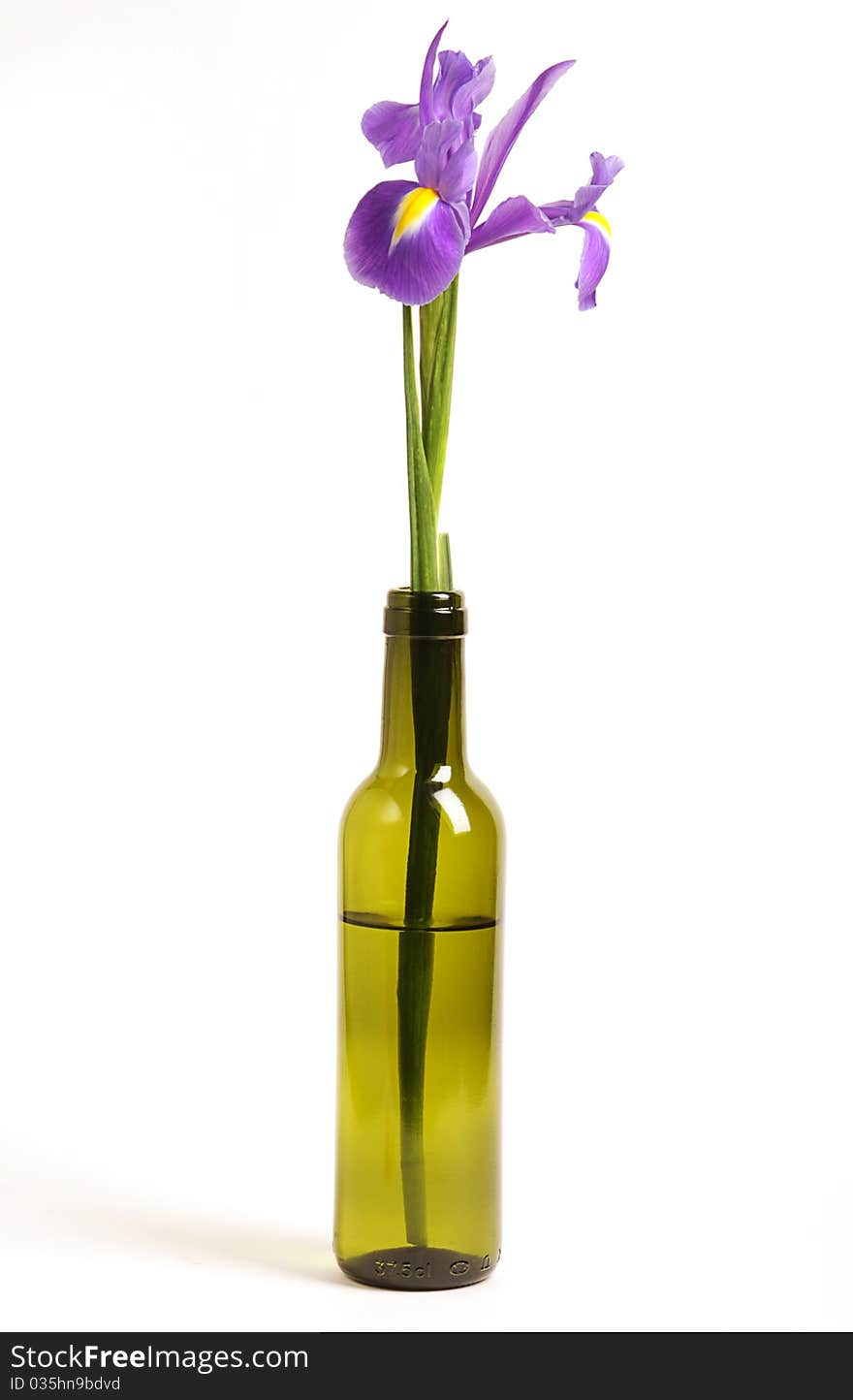 Iris in bottle