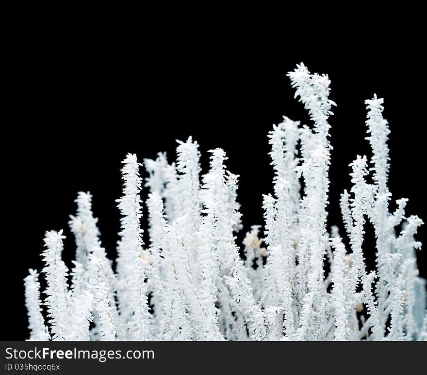 Frost isolated on black background