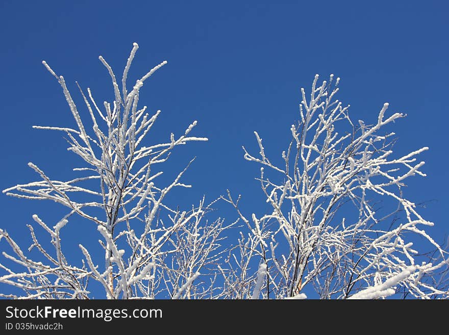 Winter day, december in Russia