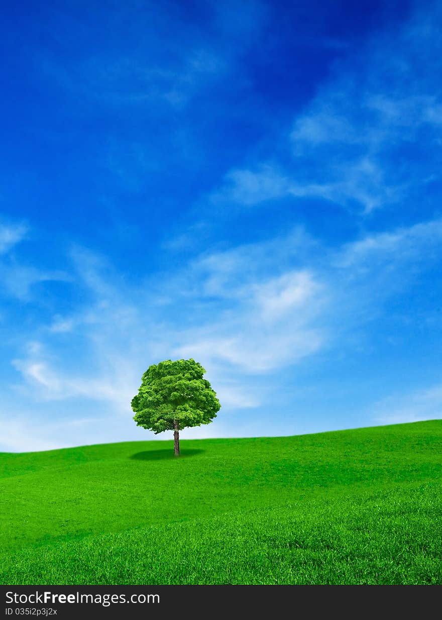 Field landscape with fantastic sky