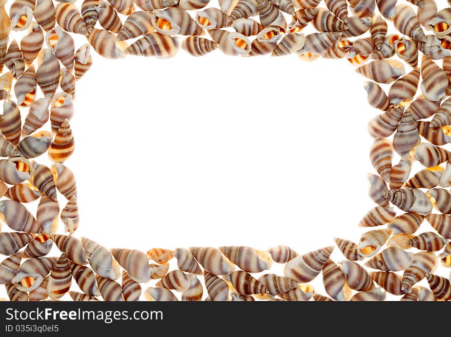 Close up of seashells frame